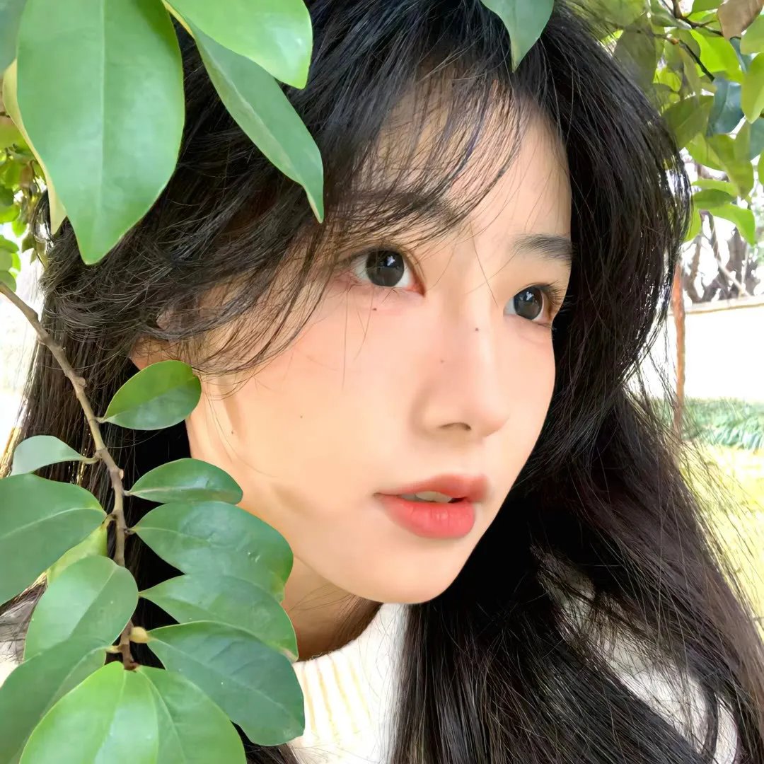 风月奇谭 海报